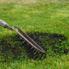 Turf & Lawn Seeding Topsoil 730L Bulk Bag Turf & Lawn Seeding Topsoil 730L Bulk Bag