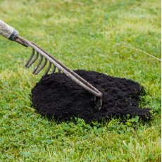 Pro-Grow Lawn Dressing Compost: Lawn Conditioner Compost 25Ltr Bag - Click & Collect Pro-Grow Lawn Dressing Compost: Lawn Conditioner Compost 25Ltr Bag - Click & Collect